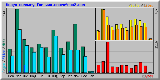 Usage summary for www.snorefree2.com