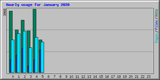 Hourly usage for January 2020