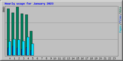 Hourly usage for January 2023