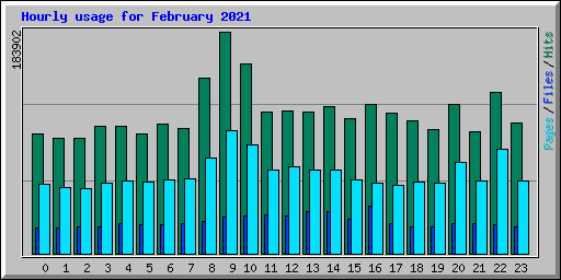 Hourly usage for February 2021