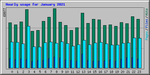 Hourly usage for January 2021