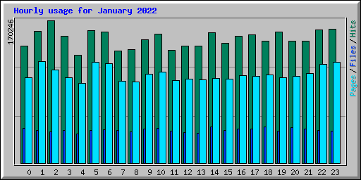 Hourly usage for January 2022