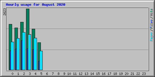 Hourly usage for August 2020