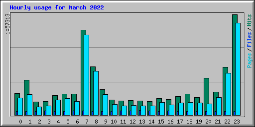 Hourly usage for March 2022