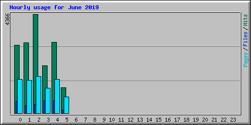 Hourly usage for June 2019
