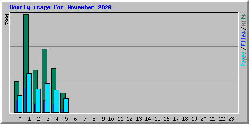 Hourly usage for November 2020