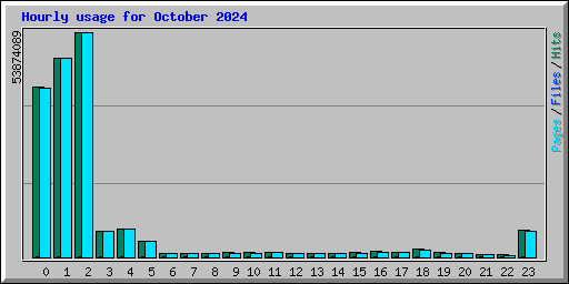 Hourly usage for October 2024