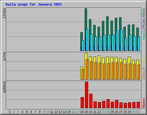 Daily usage for January 2021