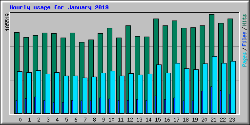 Hourly usage for January 2019