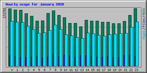 Hourly usage for January 2020