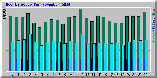 Hourly usage for November 2020