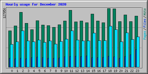 Hourly usage for December 2020