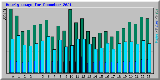 Hourly usage for December 2021