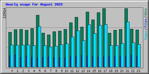 Hourly usage for August 2022