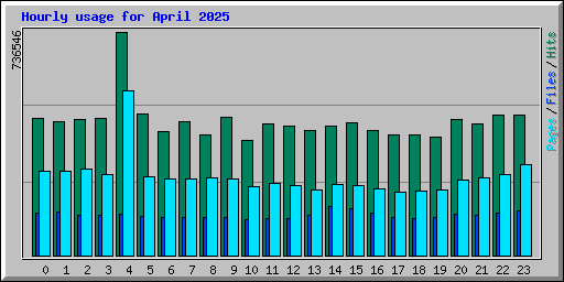 Hourly usage for April 2025