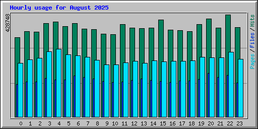 Hourly usage for August 2025