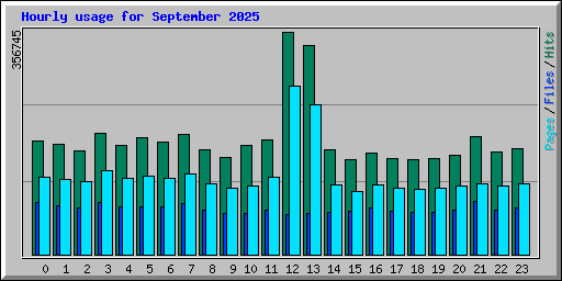 Hourly usage for September 2025