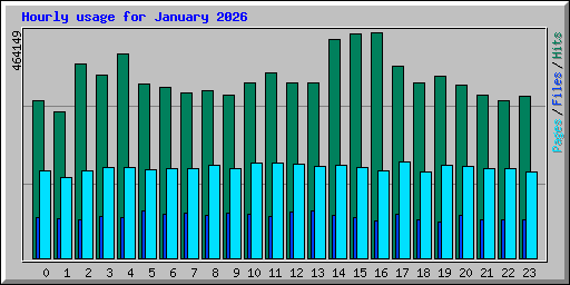Hourly usage for January 2026