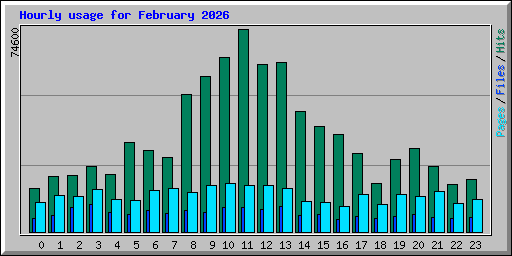 Hourly usage for February 2026