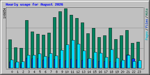 Hourly usage for August 2026