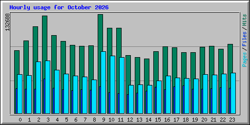 Hourly usage for October 2026