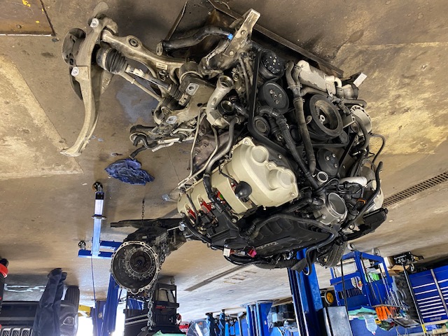 Timing Belt