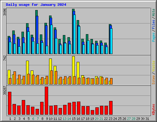 Daily usage for January 2024