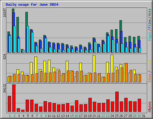 Daily usage for June 2024