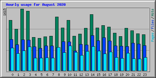Hourly usage for August 2020