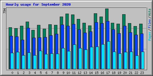 Hourly usage for September 2020