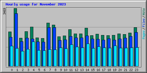 Hourly usage for November 2023