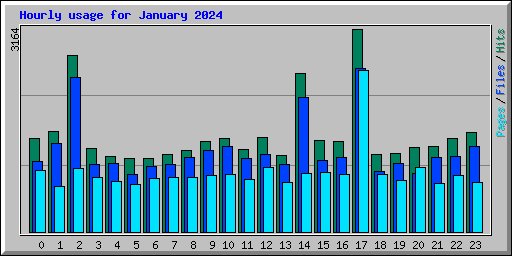 Hourly usage for January 2024