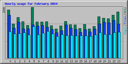 Hourly usage for February 2024