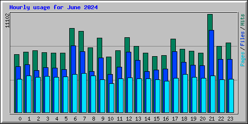 Hourly usage for June 2024