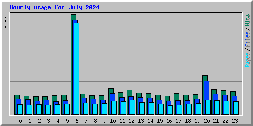 Hourly usage for July 2024