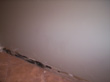 mouldy_drywall_01
