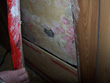 mouldy_drywall_06