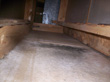 mouldy_drywall_05