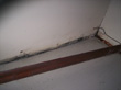 mouldy_drywall_03
