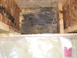 mouldy_truss_02