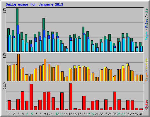 Daily usage for January 2013