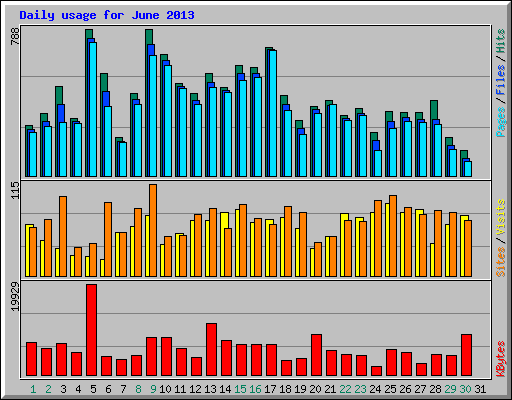 Daily usage for June 2013