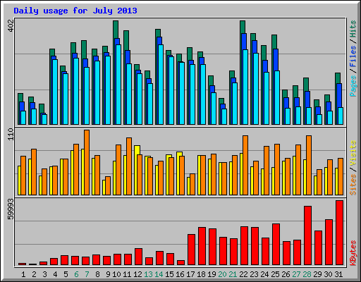 Daily usage for July 2013