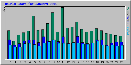 Hourly usage for January 2011