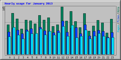 Hourly usage for January 2013