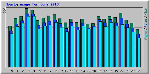 Hourly usage for June 2013