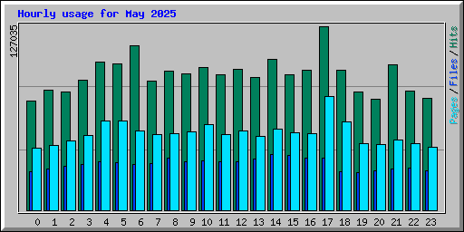 Hourly usage for May 2025
